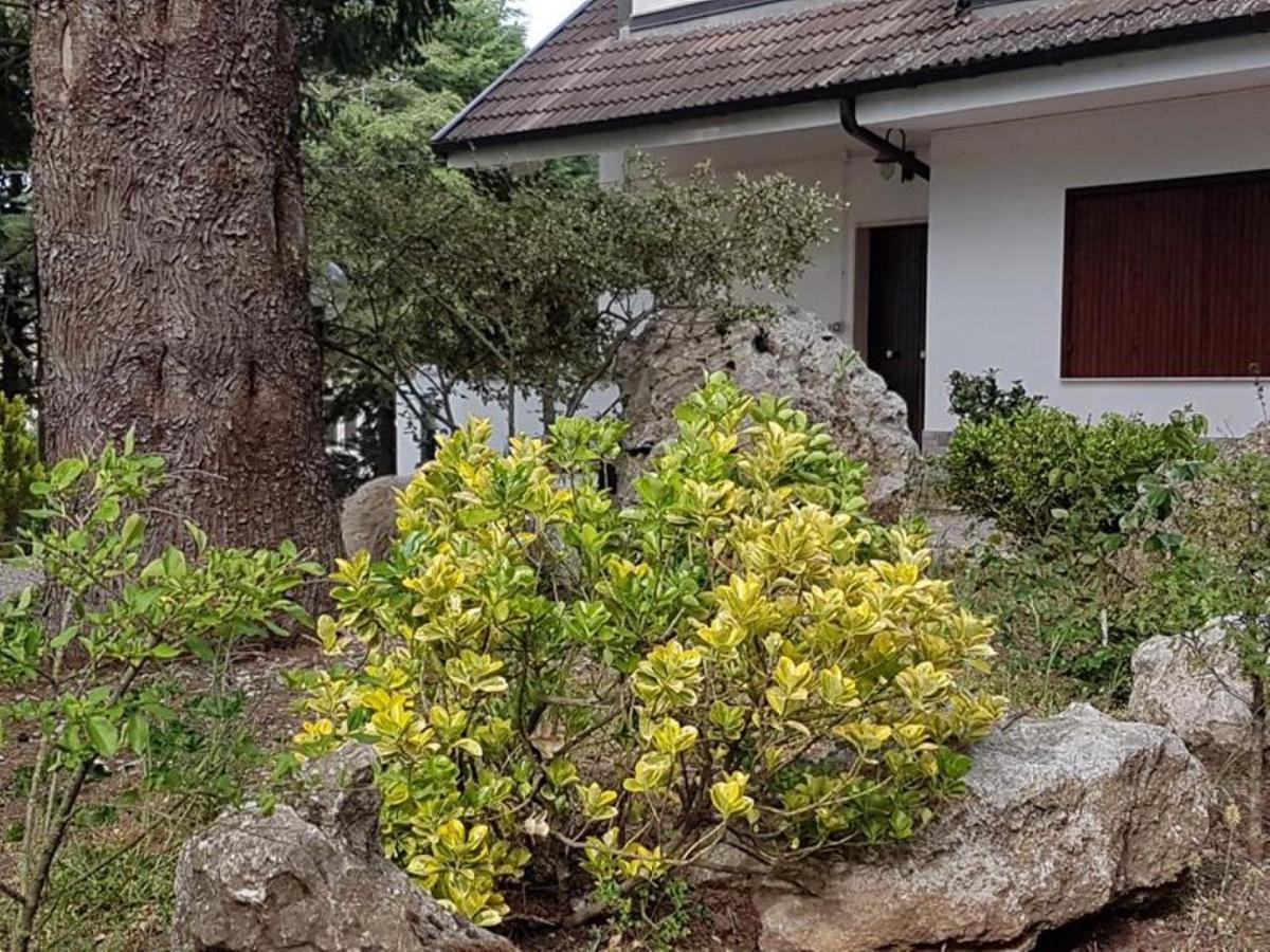 Le Conifere Lägenhet Pignola Exteriör bild